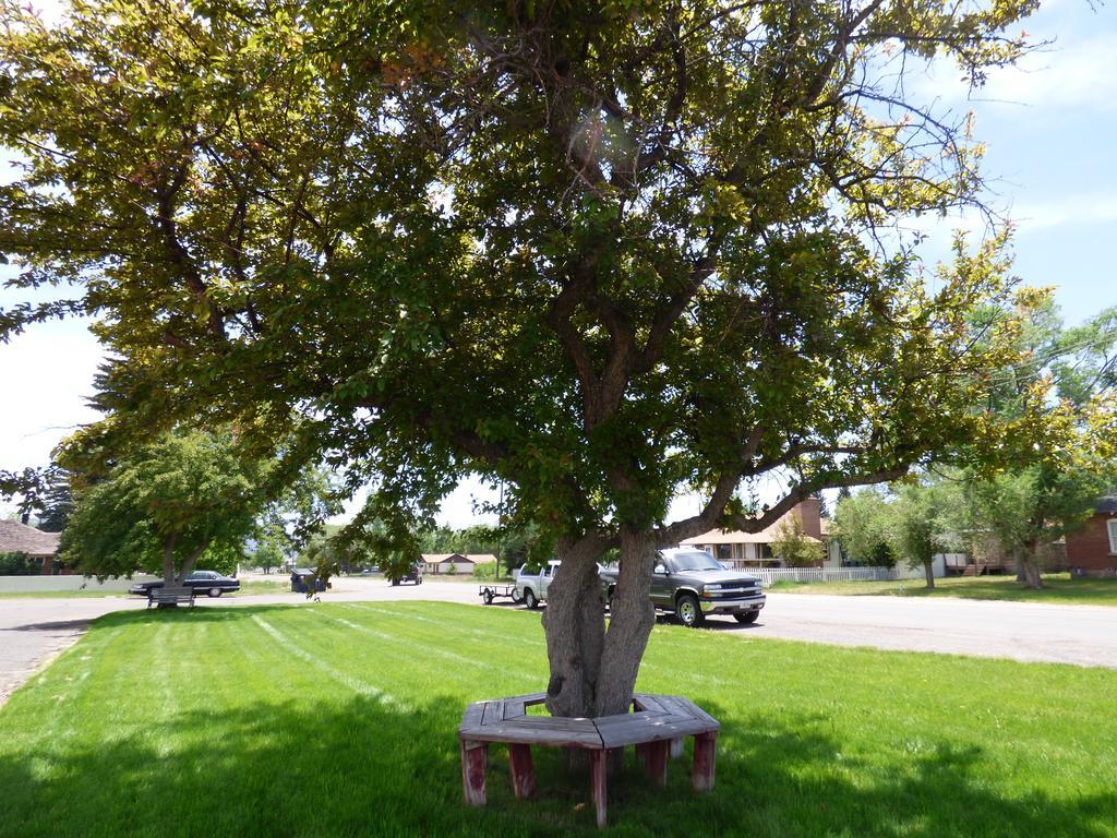 Canyon Lodge Motel Panguitch Exteriör bild